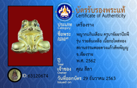 ID 63120674