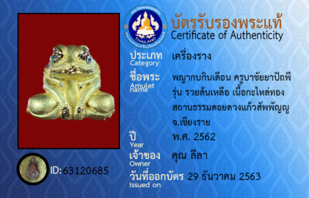 ID 63120685