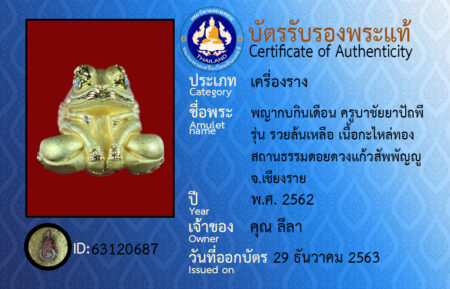 ID 63120687