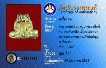 ID 63120688