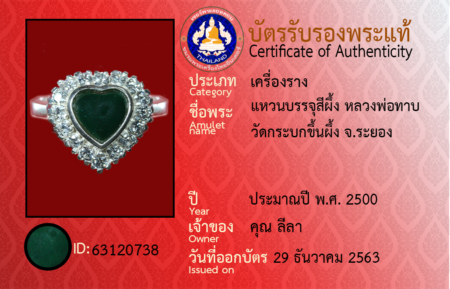 ID 63120738