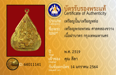 ID 64011141