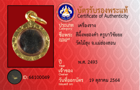 ID 64100049