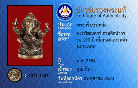 ID 63100541