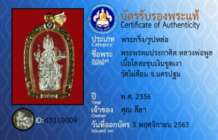 ID 63110009