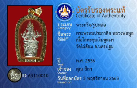 ID 63110010