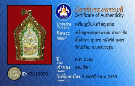 ID 63110020