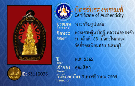 ID 63110036