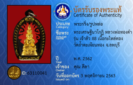ID 63110041