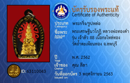 ID 63110043