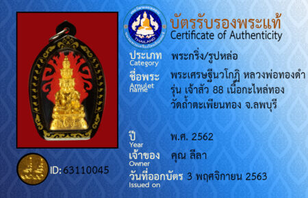 ID 63110045