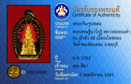 ID 63110046