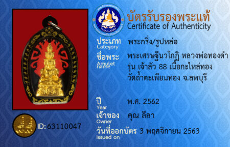 ID 63110047