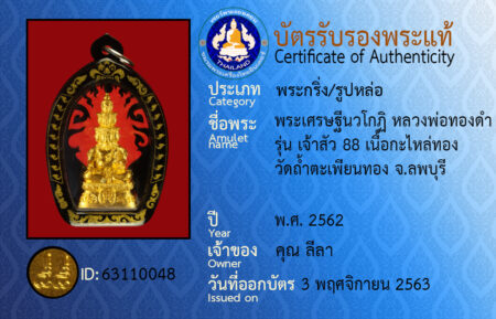 ID 63110048