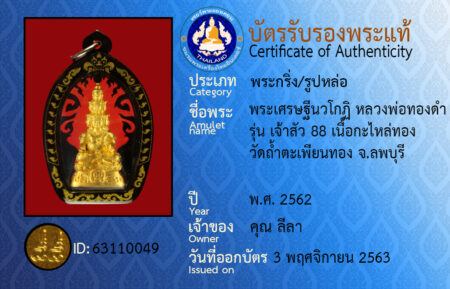 ID 63110049