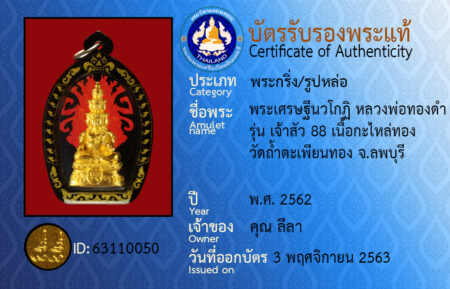 ID 63110050