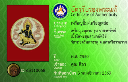 ID 63110058