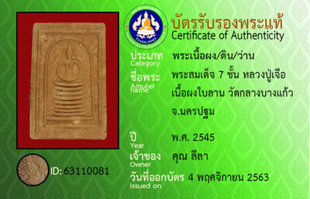 ID 63110081
