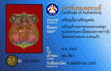 ID 63110093