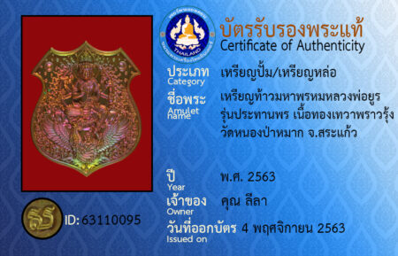 ID 63110095