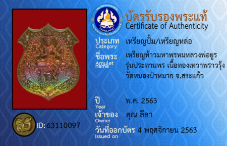 ID 63110097