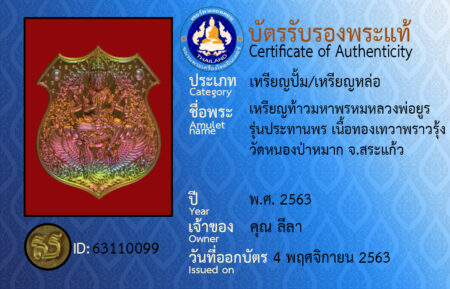 ID 63110099