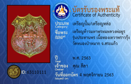 ID 63110111