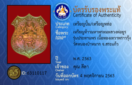 ID 63110117