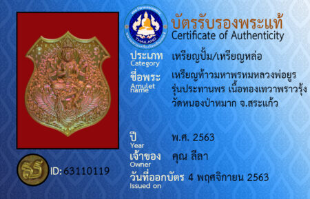 ID 63110119