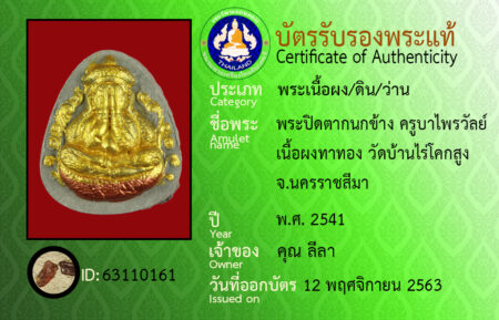 ID 63110161