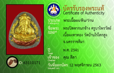 ID 63110171