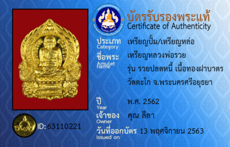ID 63110221