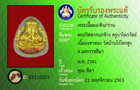 ID 63110251