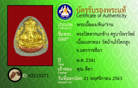ID 63110271