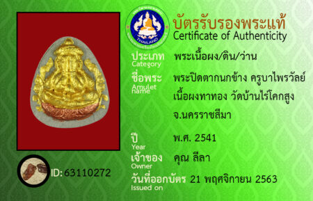 ID 63110272