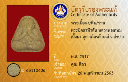 ID 63110406