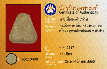 ID 63110408