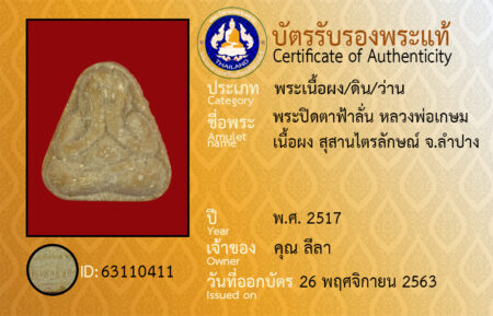 ID 63110411