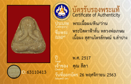 ID 63110413
