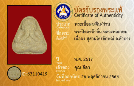 ID 63110419