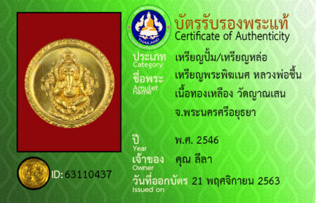 ID 63110437