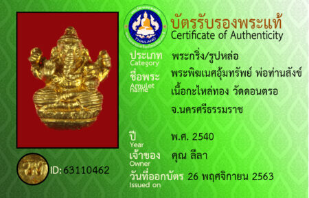 ID 63110462