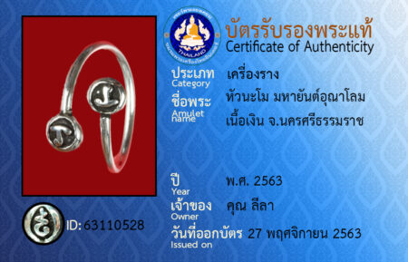 ID 63110528