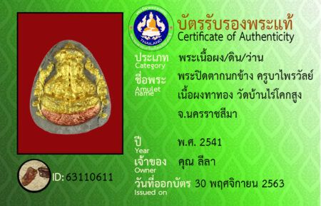 ID 63110611