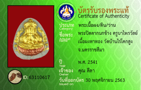 ID 63110617
