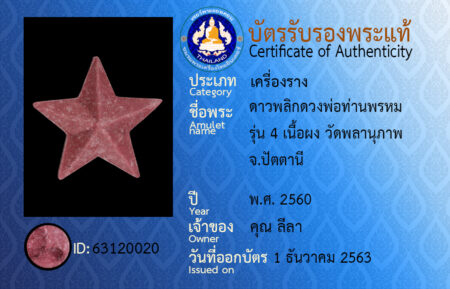 ID 63120020