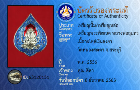 ID 63120131