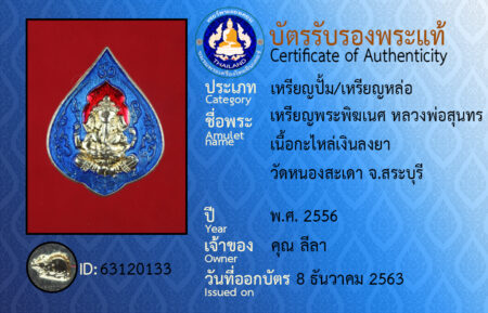 ID 63120133