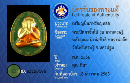 ID 63120196