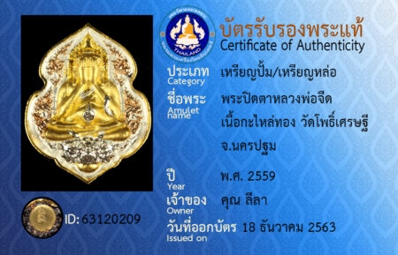 ID 63120209